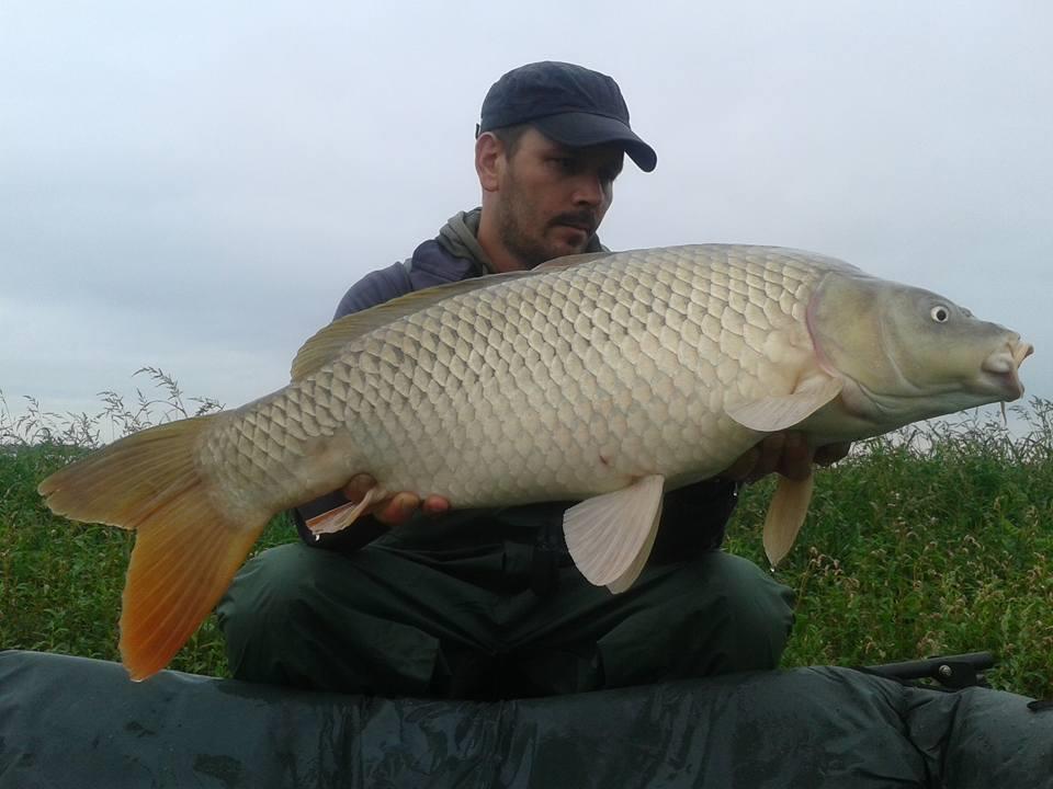 15-17.05.2015 - 1692810135286786799511851512826774078895n.jpg